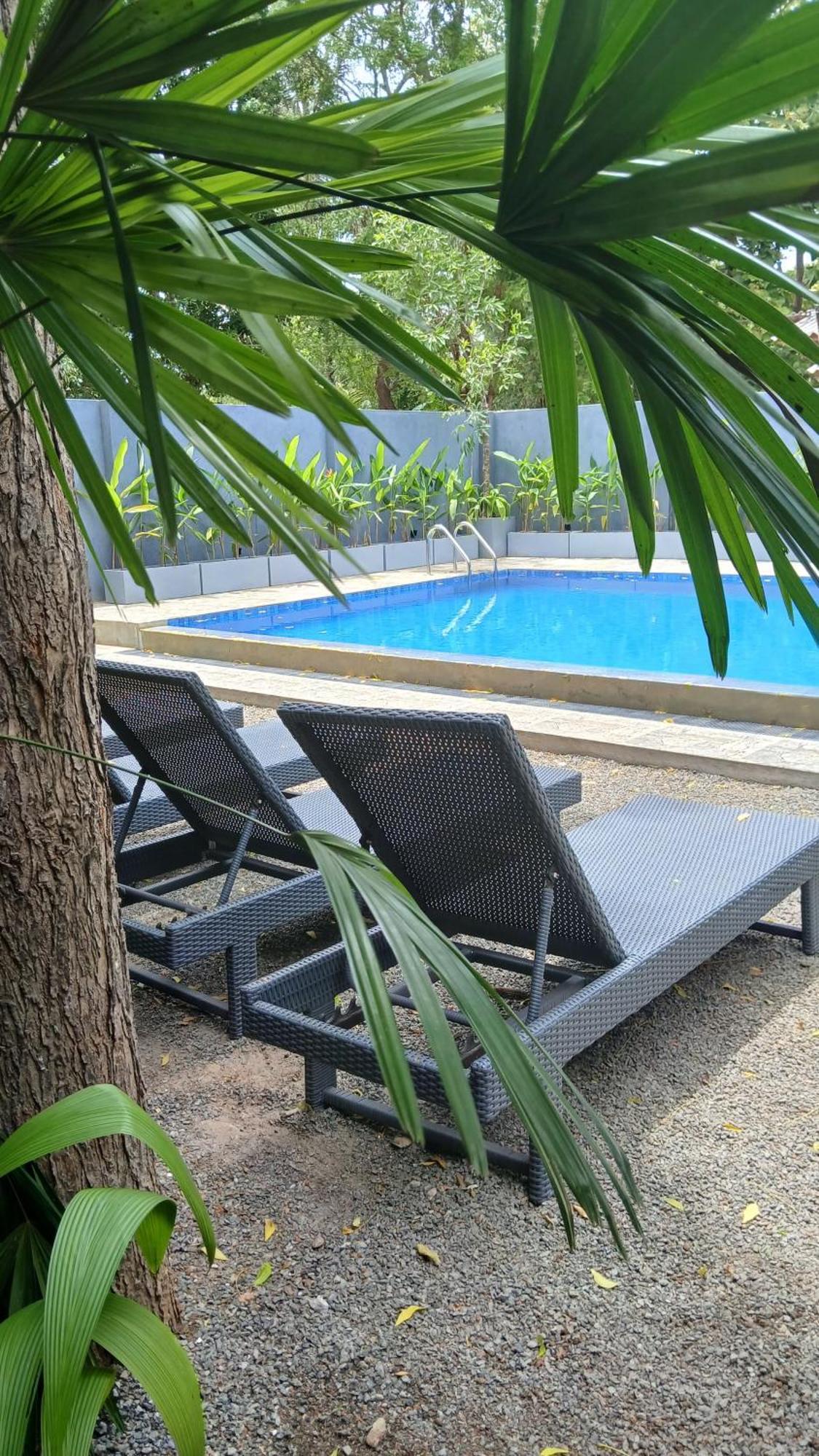 Hotel Coffee House Dambulla Exteriér fotografie