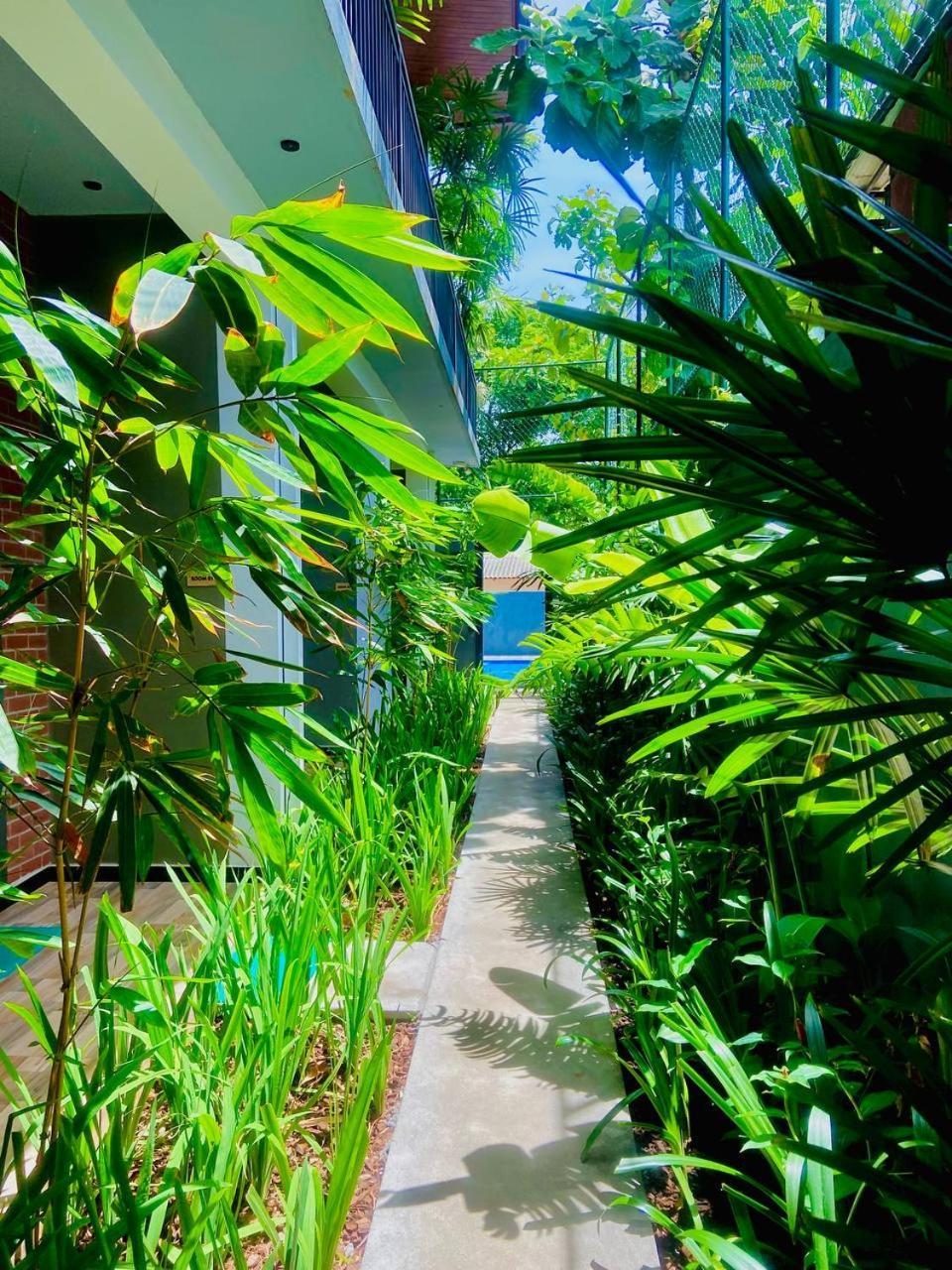 Hotel Coffee House Dambulla Exteriér fotografie