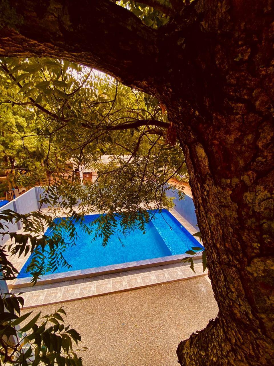 Hotel Coffee House Dambulla Exteriér fotografie