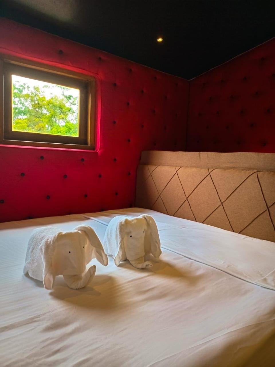 Hotel Coffee House Dambulla Exteriér fotografie